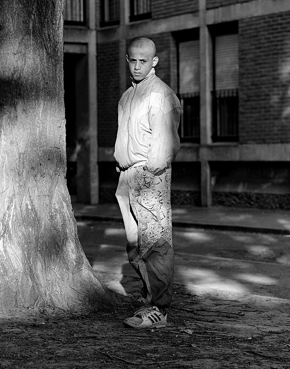 image persan-beaumont