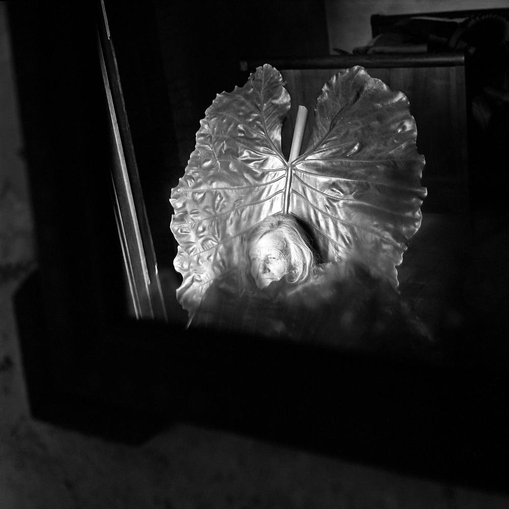 image ma tante juliette