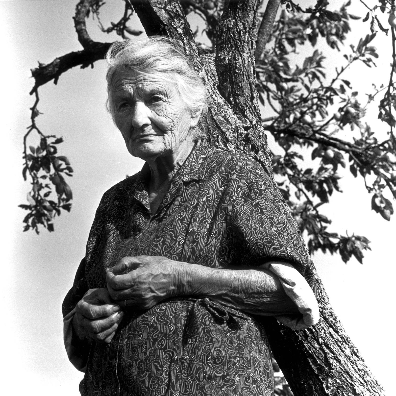 image ma tante juliette